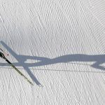 Nordijska kombinacija – zimska sportska idila