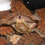 enhanced-buzz-10490-1349978816-6