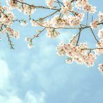 Dragi gospodine Mart