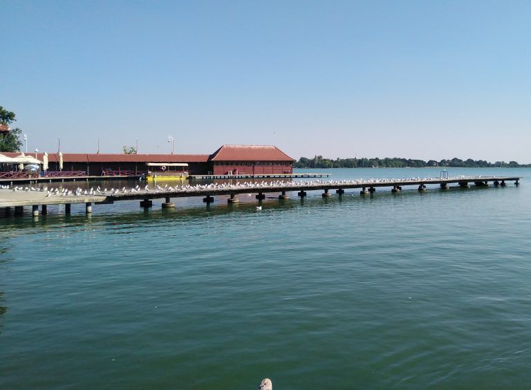 Lipo li je, lipo li je, moj galebe…