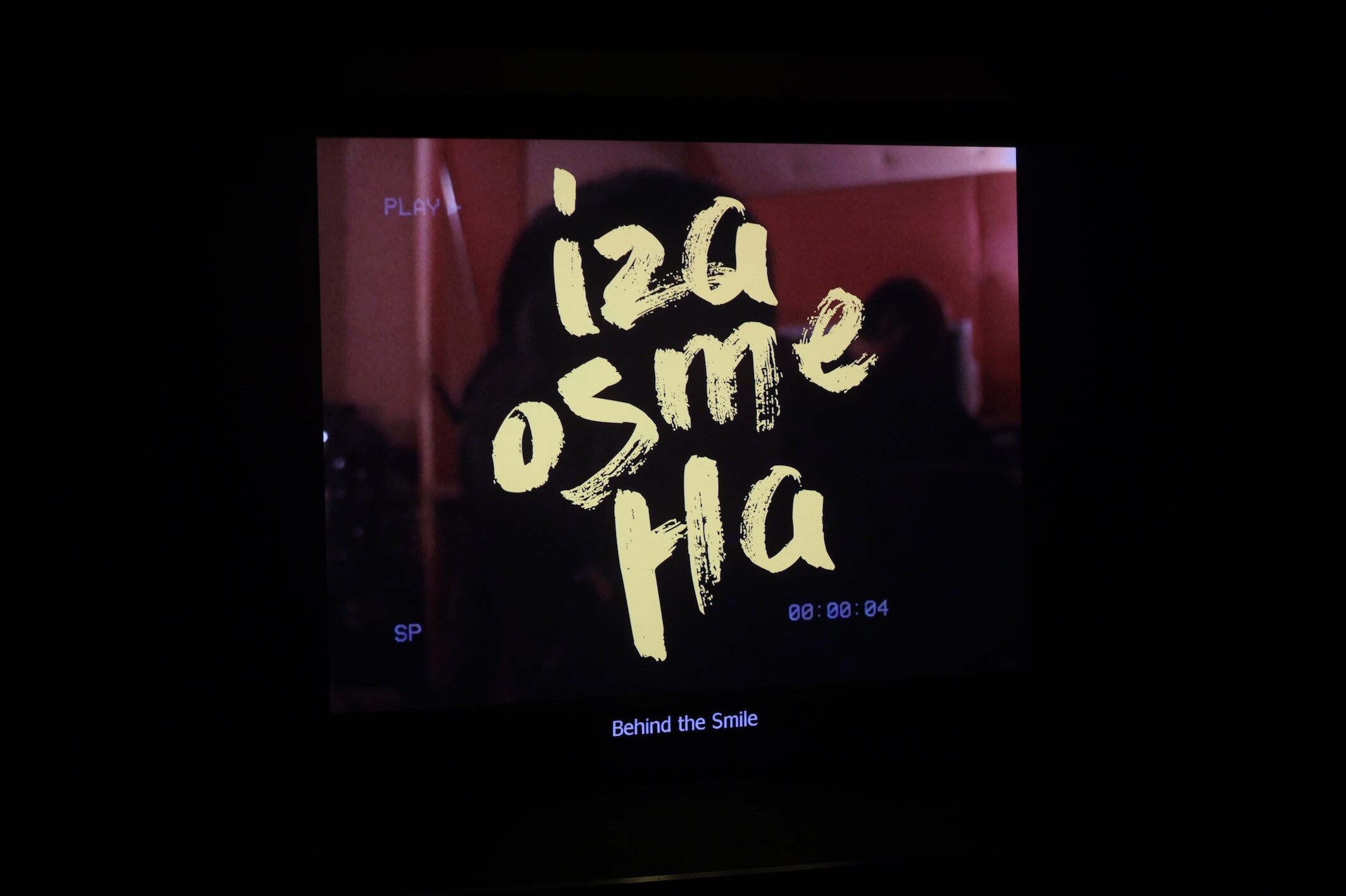 Iza osmeha: Vlada Divljan