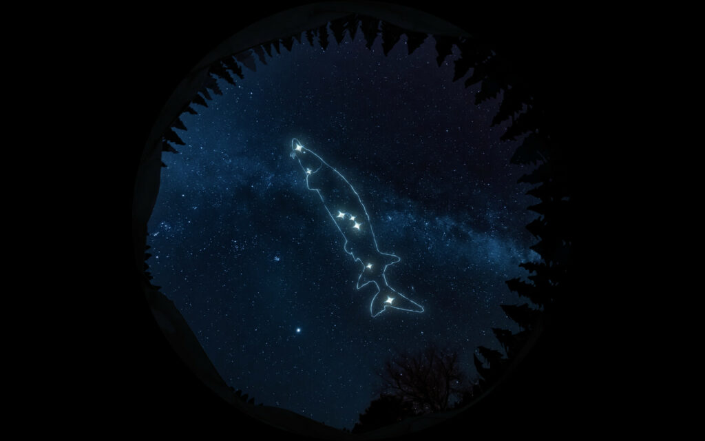 Priče o zvezdama; Foto: Beldocs