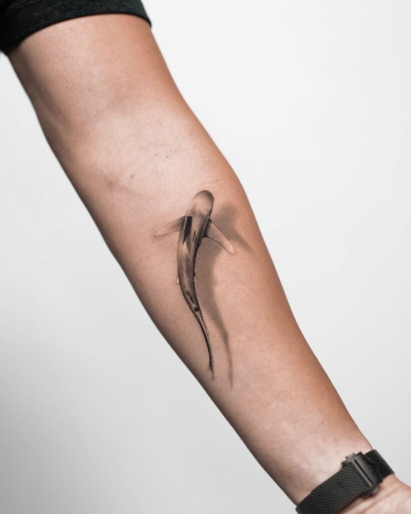 tatu panda