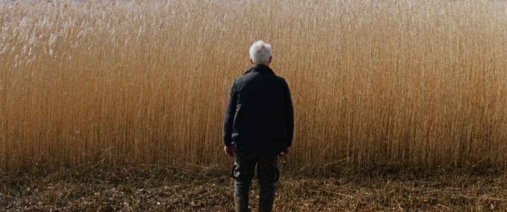 Rietland (2025)