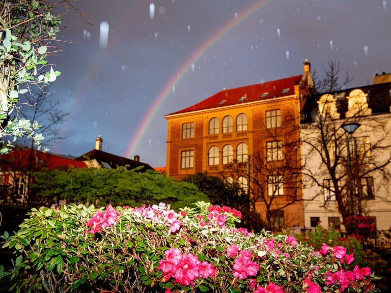 Helge Skodvin Vizualizator