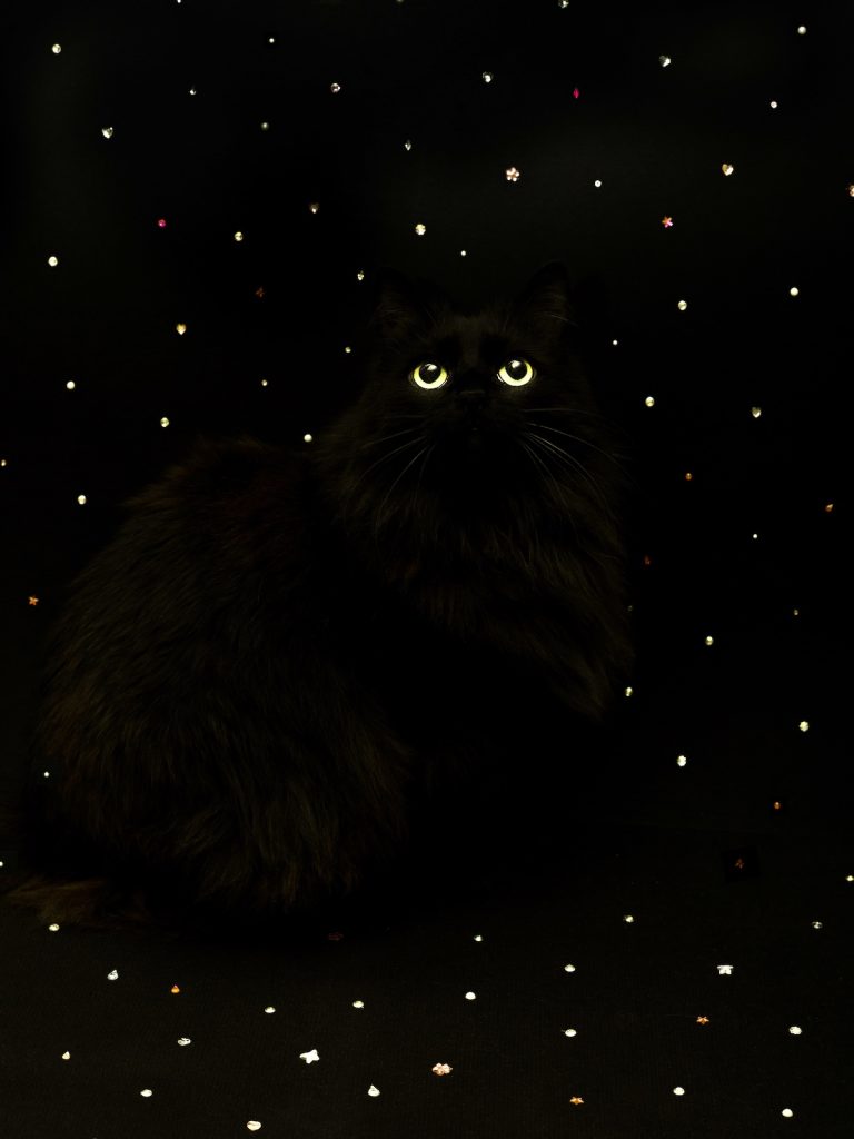 Daria Nazarova, Embrace the Void