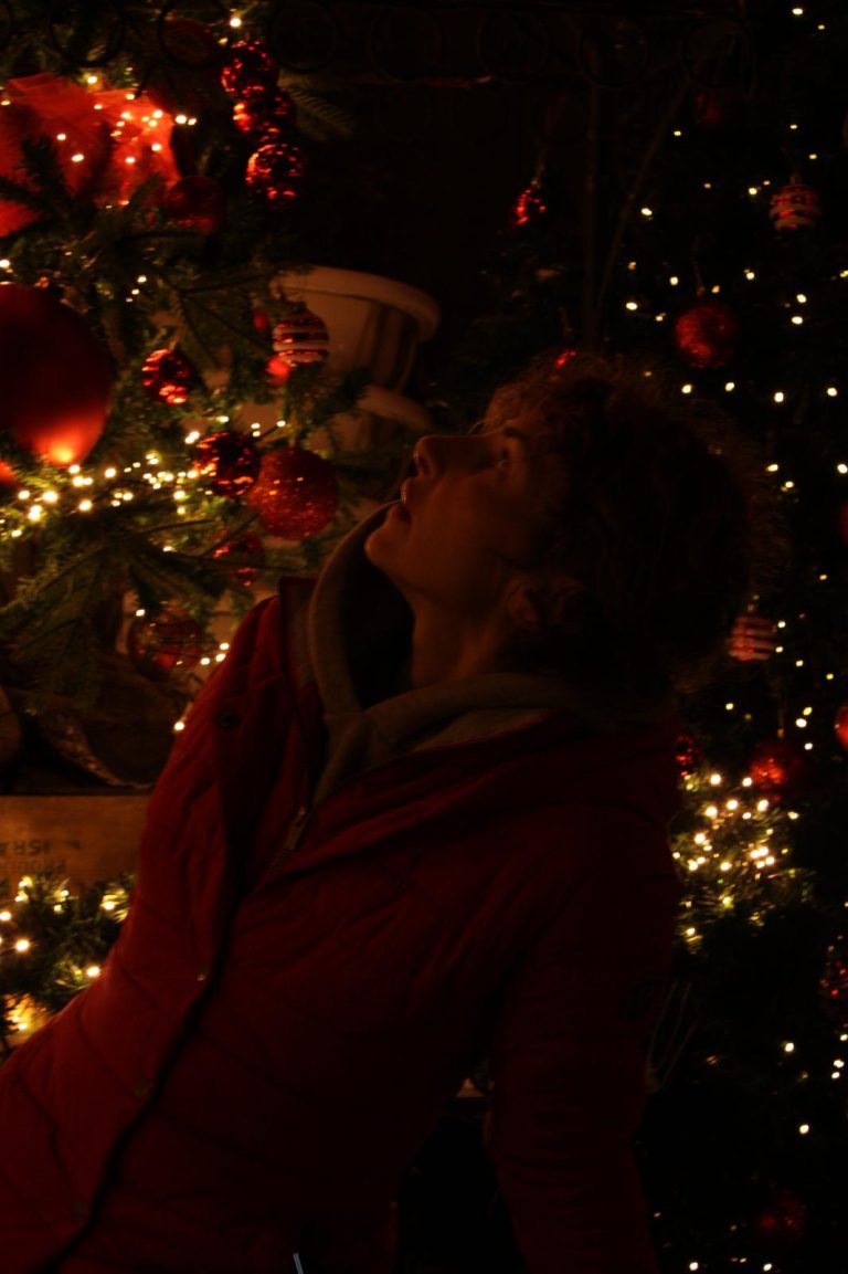 Ilma Novogodišnja fotografija