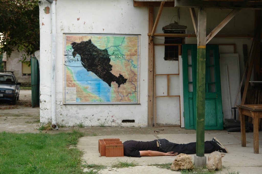 Dragan Vojvodić - Biografija - performans