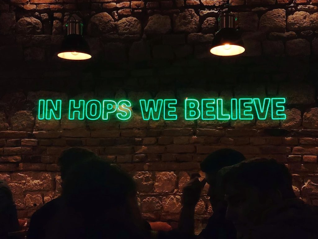 Teodora Petrović Vajb