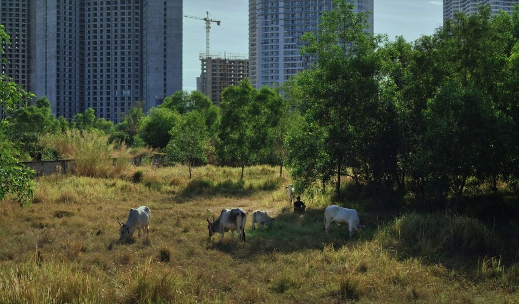Kadar iz filma Obećani prostori