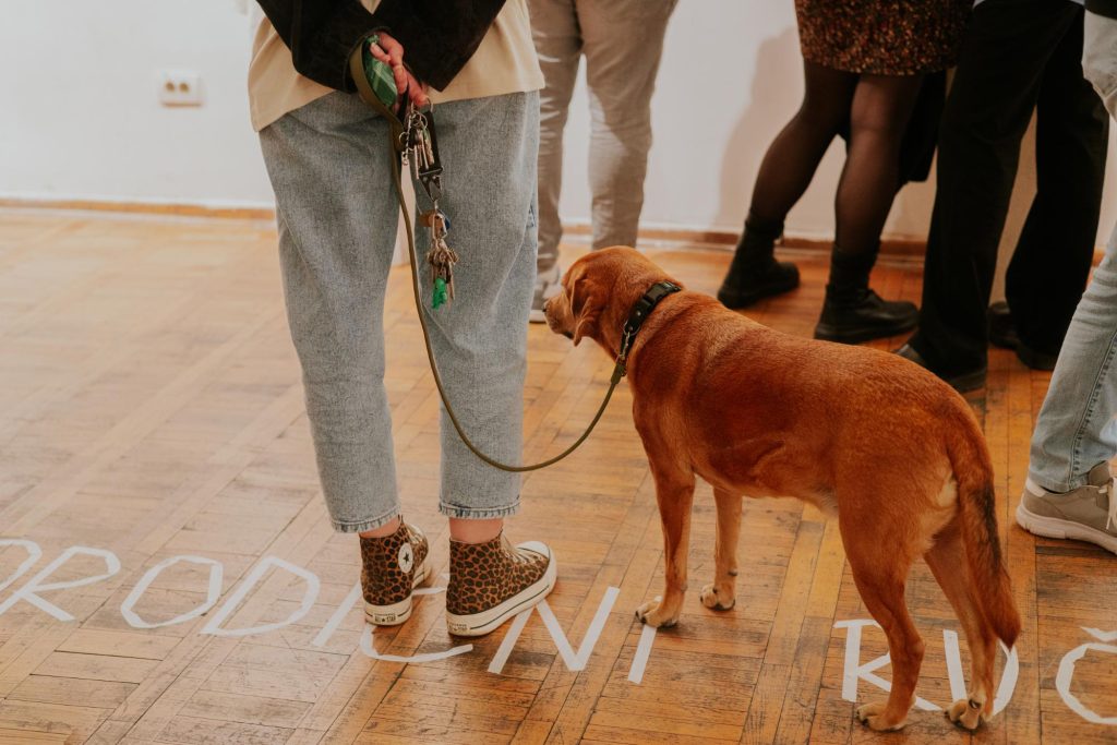 Jugoslavija, ne pušta te da odrasteš