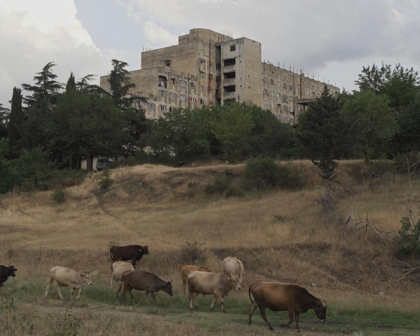 „Kraljevstvo Kartli“