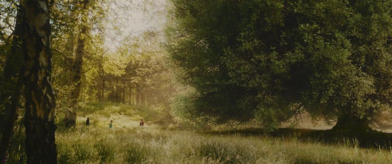 Magično daleko drvo