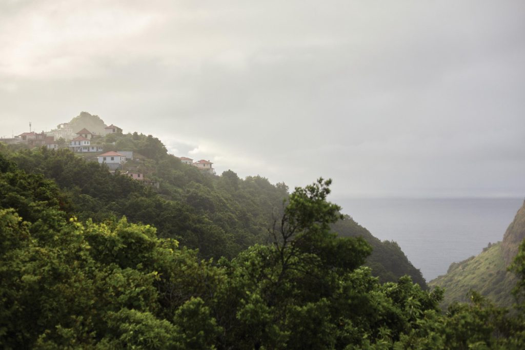 Madeira - Milica Nikolić