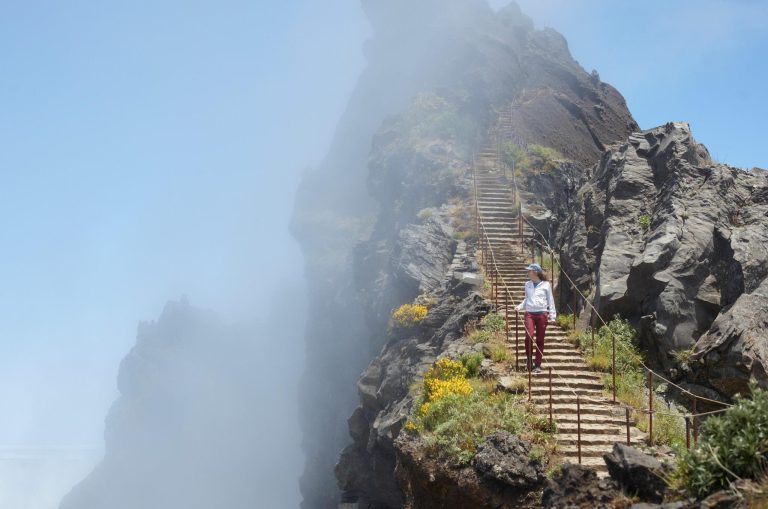 Madeira - Milica Nikolić