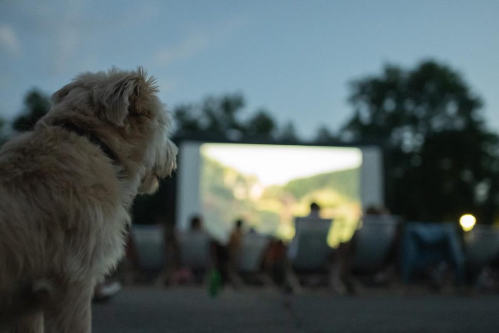Bašta Fest
