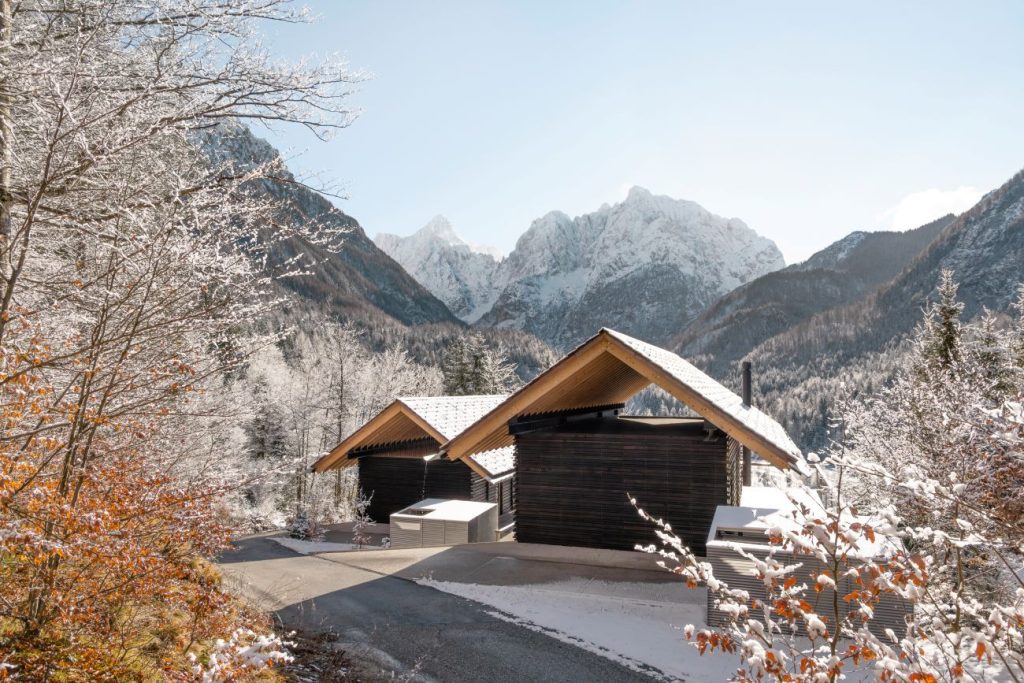 Pobednik MDM konkursa_Twin Alpine Houses_Dekleva Gregoric Architects_photo Ana Skobe