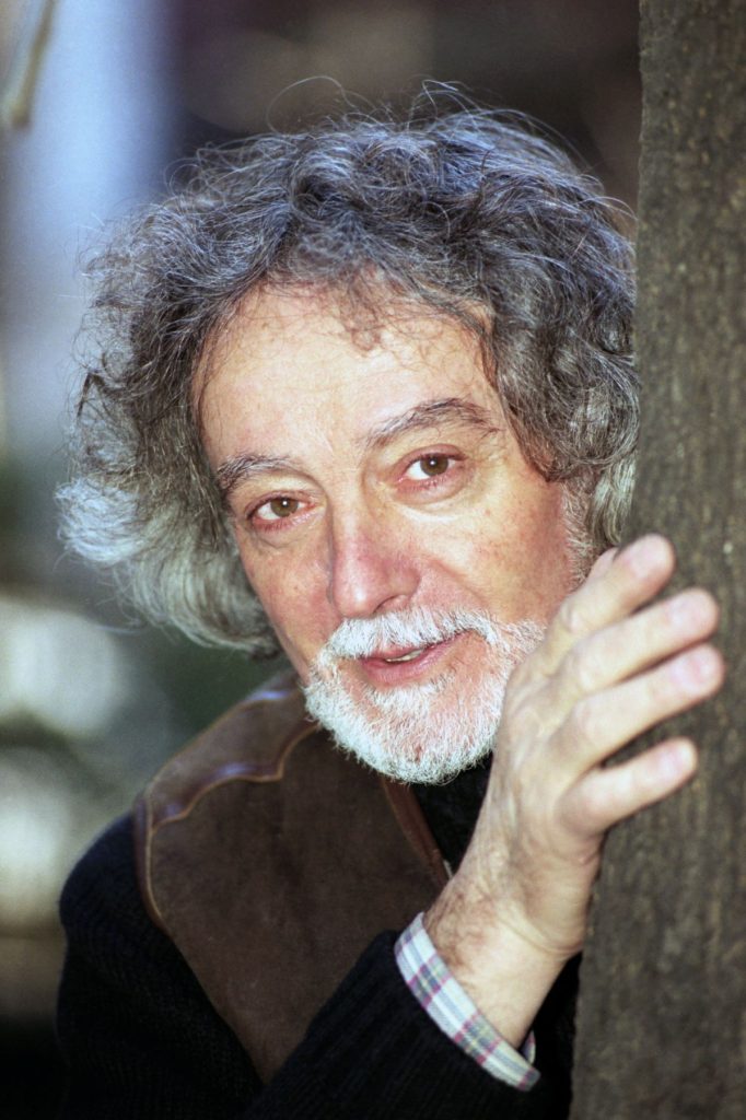 Dobrica Erić