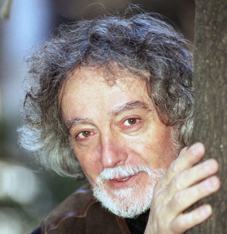 Dobrica Erić