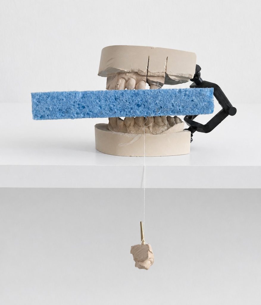 Zorica Čolić, Partial Objects, objekti, kombinovani materijali, promenljive dimenzije, 2025