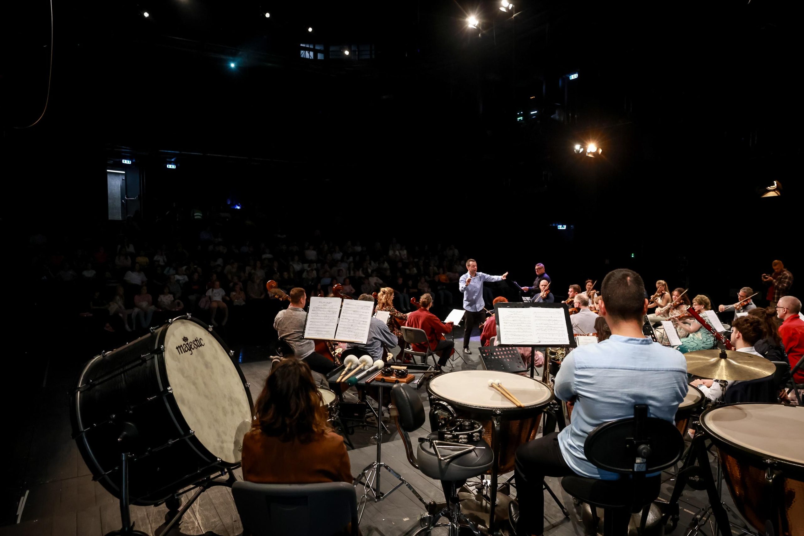 Subotički simfonijski orkestar – „Peća i vuk“