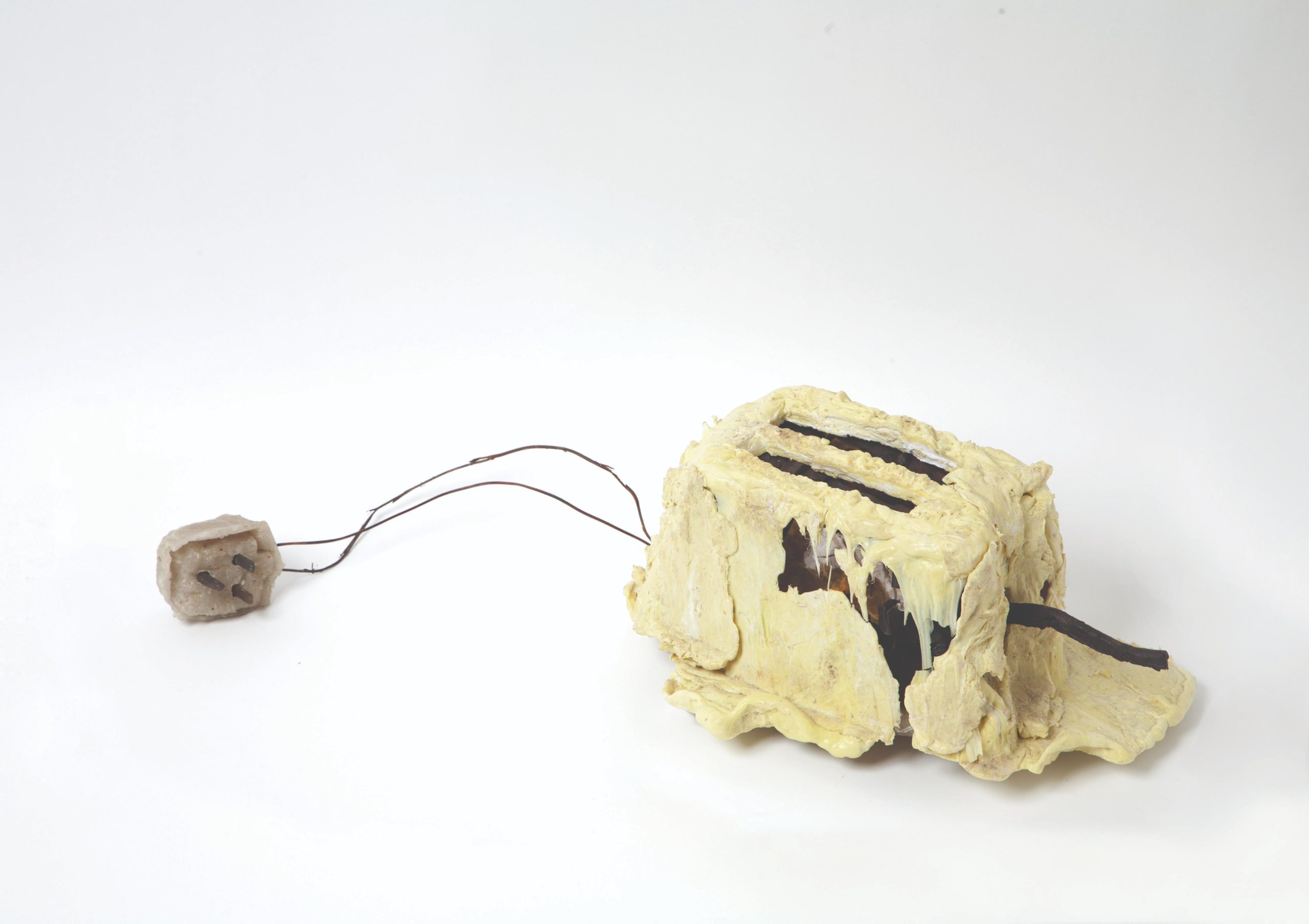 Tomas Tvejts, „The Toaster Project“