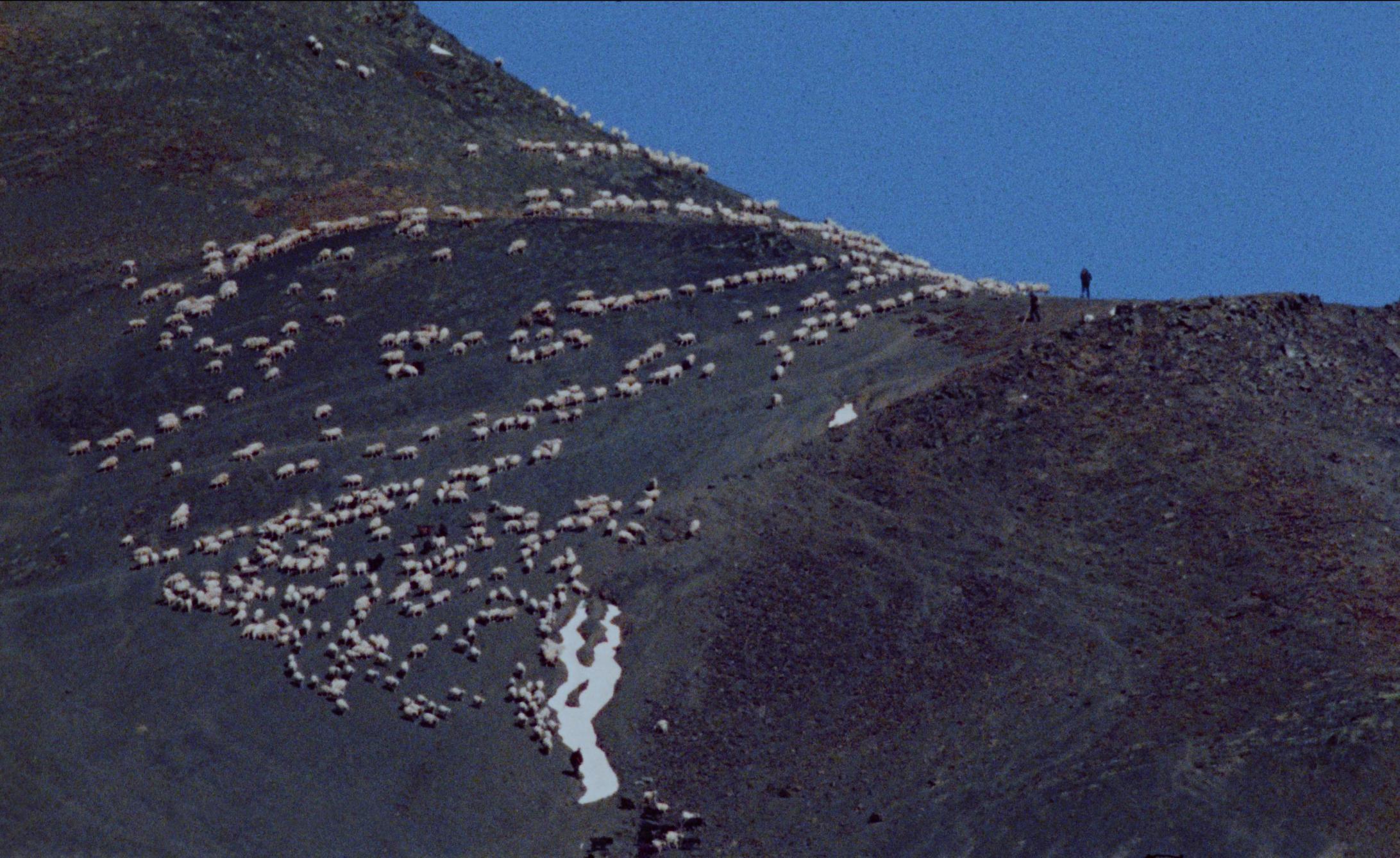 Kadar iz filma „The Wind Blows Wherever It Wants