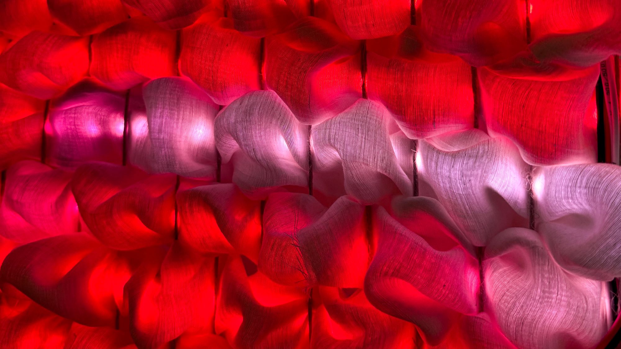 Woven Light, rad Sanje Šikoparije